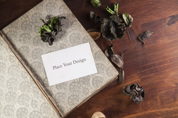 Business Card Mockup